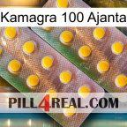 Kamagra 100 Ajanta new10